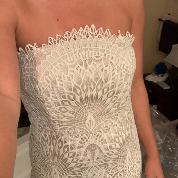 COPY - Never worn Badgley Mischka Lace Midi Dress - Picture 6 of 9